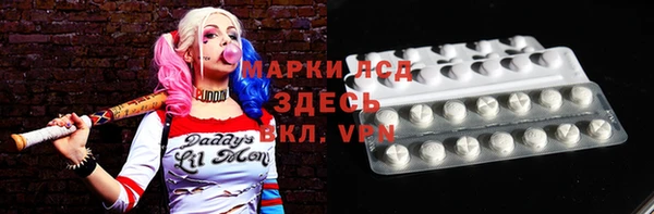 СК Алексин
