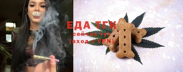 СК Алексин