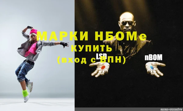 СК Алексин