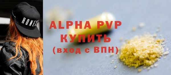 СК Алексин