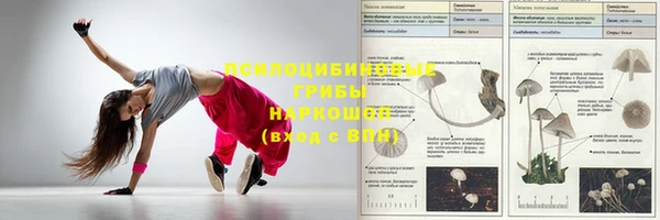 бутират Алексеевка