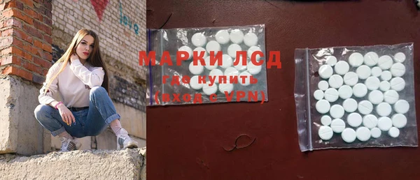 СК Алексин