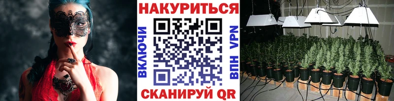 Конопля сатива  darknet формула  Харабали  блэк спрут ссылка 